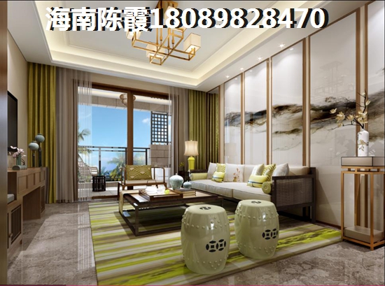 海南发展的前景分析