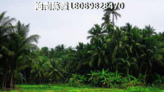 长春2025房价涨跌分析