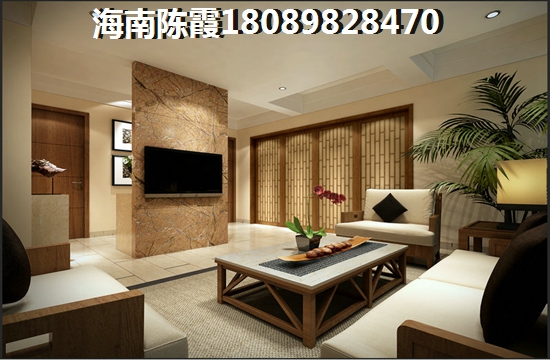 买海南房子的十大理由