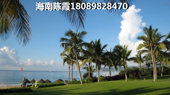 海口金岛国际广场性价比高吗？，金岛国际广场性价比及房价走势2025