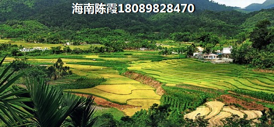 威海房价上涨还是下跌？