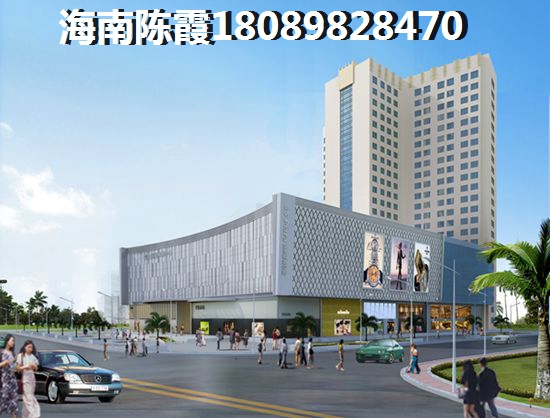 海南自贸港房产纸不纸得touzi