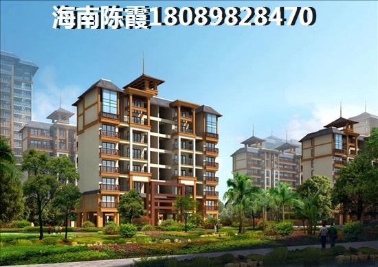 海南岛今后发展前景比较好的楼盘！