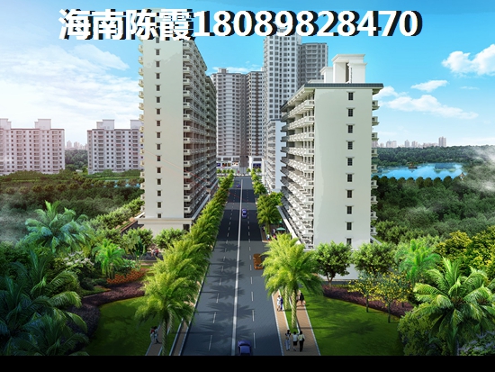大众蓝驱版是什么意思