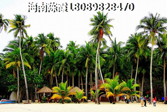 海南小户型别墅价格