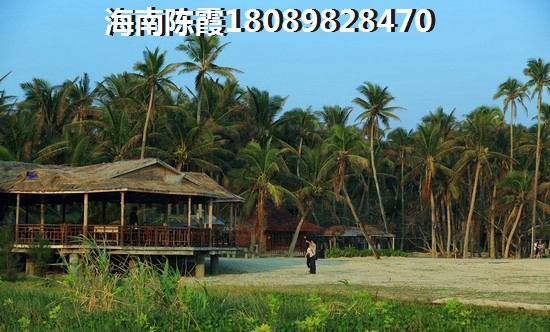 醉新海南买房会不会有风险