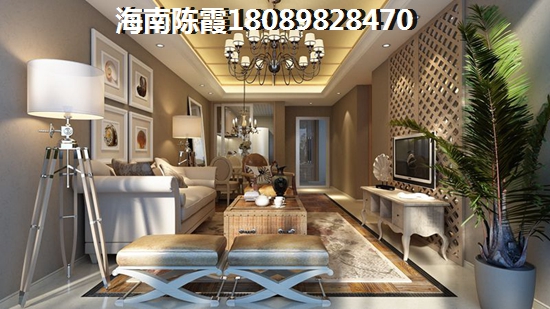 30万全款的房子海南