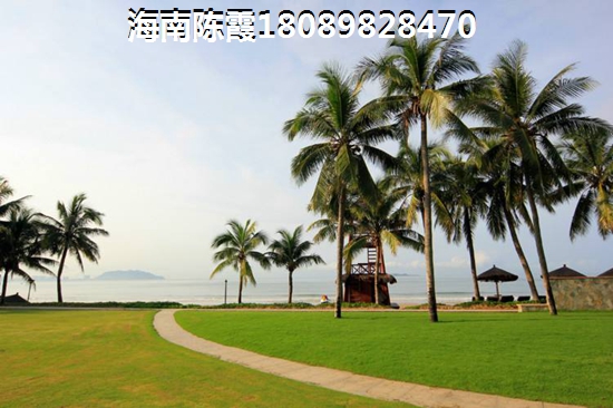 海南XG再加码
