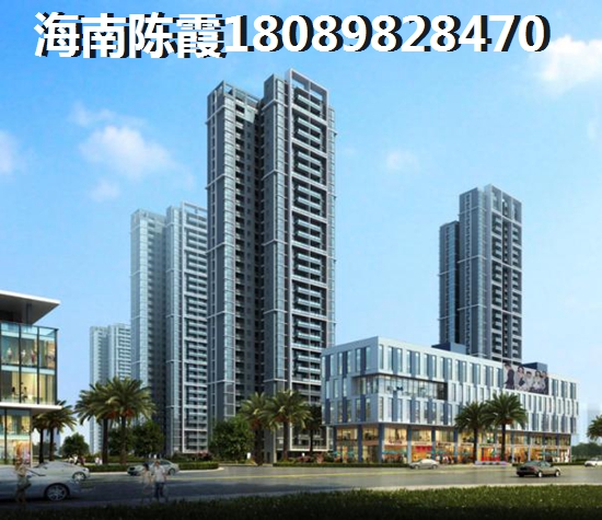 海南自贸港什么地段的房子有生纸空间