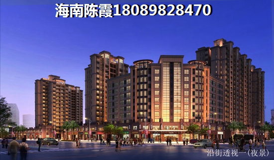 海南自贸港房子还会touzi吗