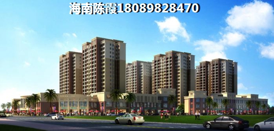 海南什么楼盘的房子醉有生纸空间？